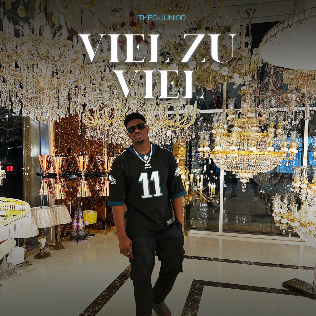 Album cover of Viel zu Viel