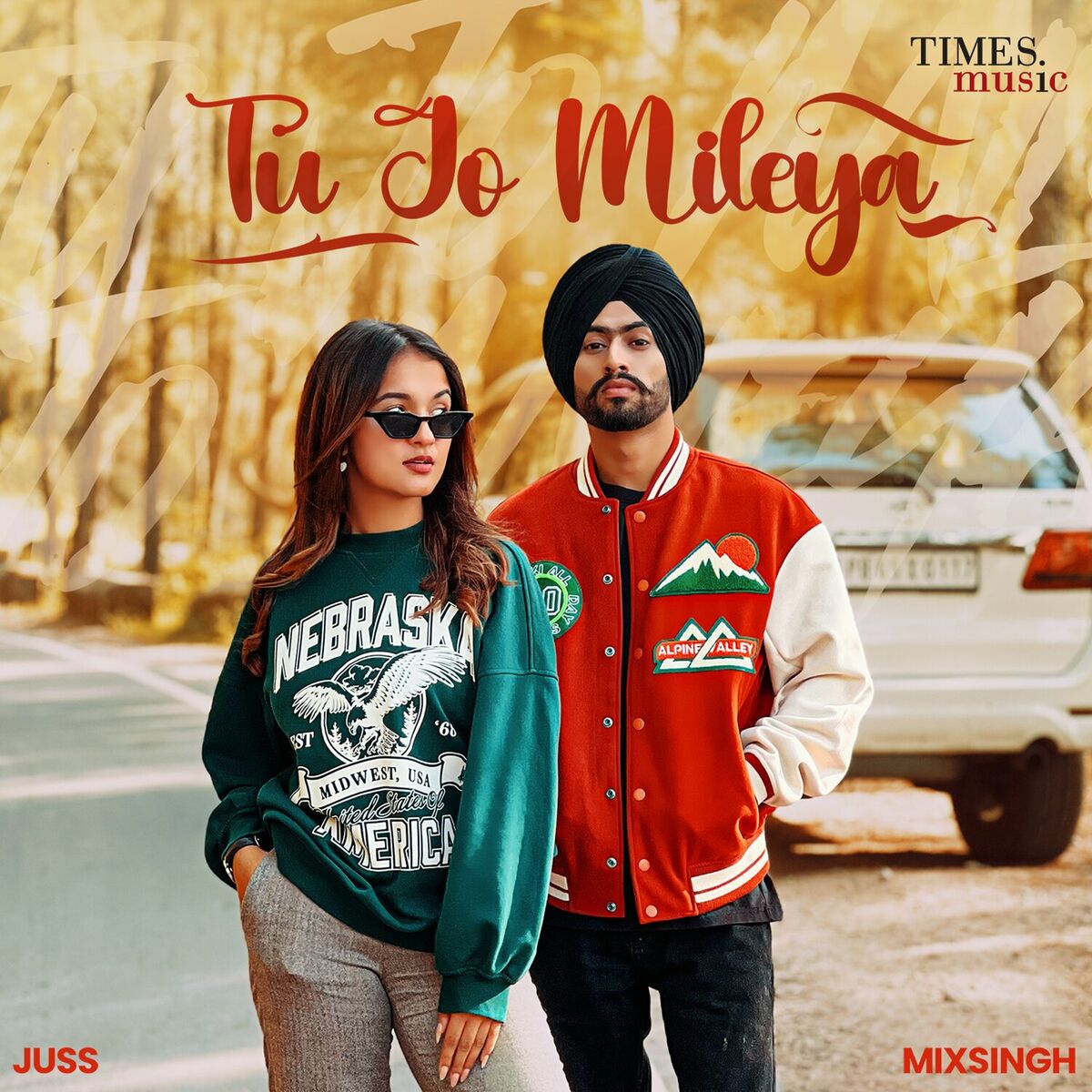 Album cover of Tu Jo Mileya