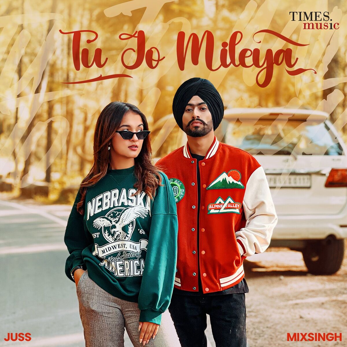 Album cover of Tu Jo Mileya