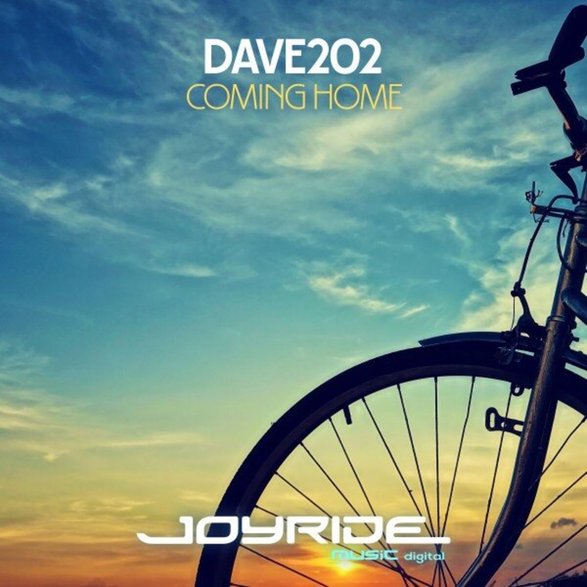 Album cover of Coming Home