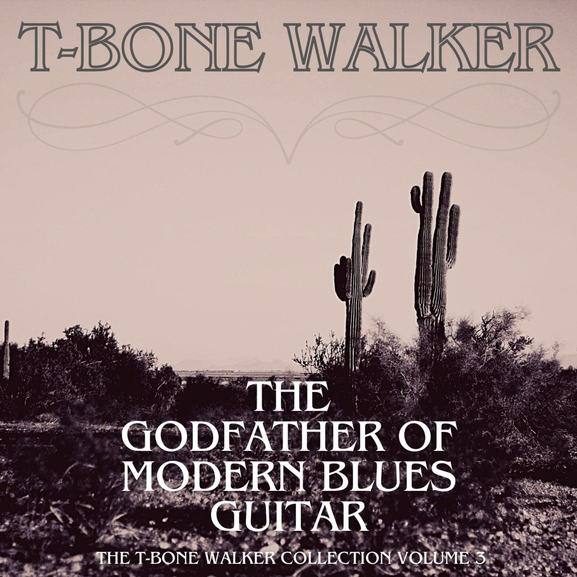 Album cover of The Godfather of Modern Blues Guitar - The T-Bone Walker Collection, Vol. 3