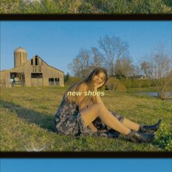 Cover of new shoes