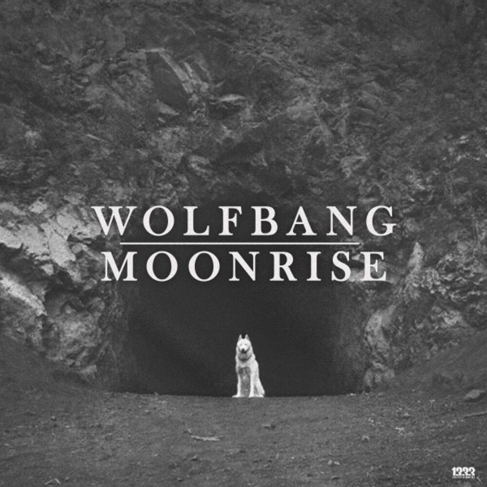 Picture of Moonrise (Original Mix)