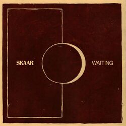Cover of Waiting