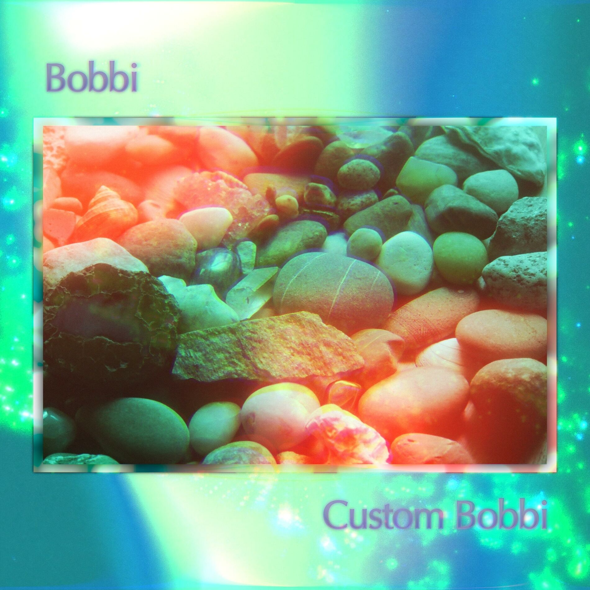 Album cover of Custom Bobbi