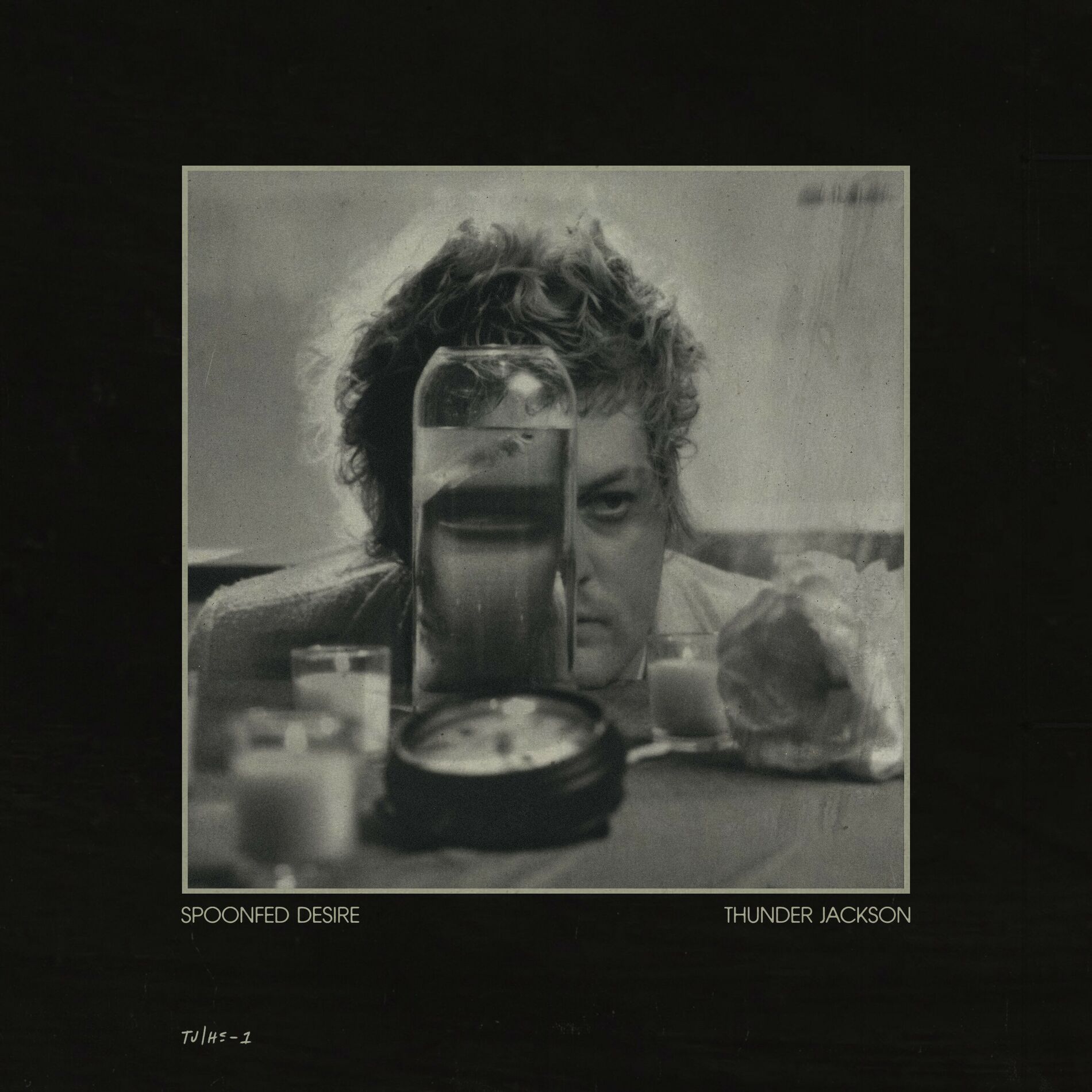 Album cover of Spoonfed Desire