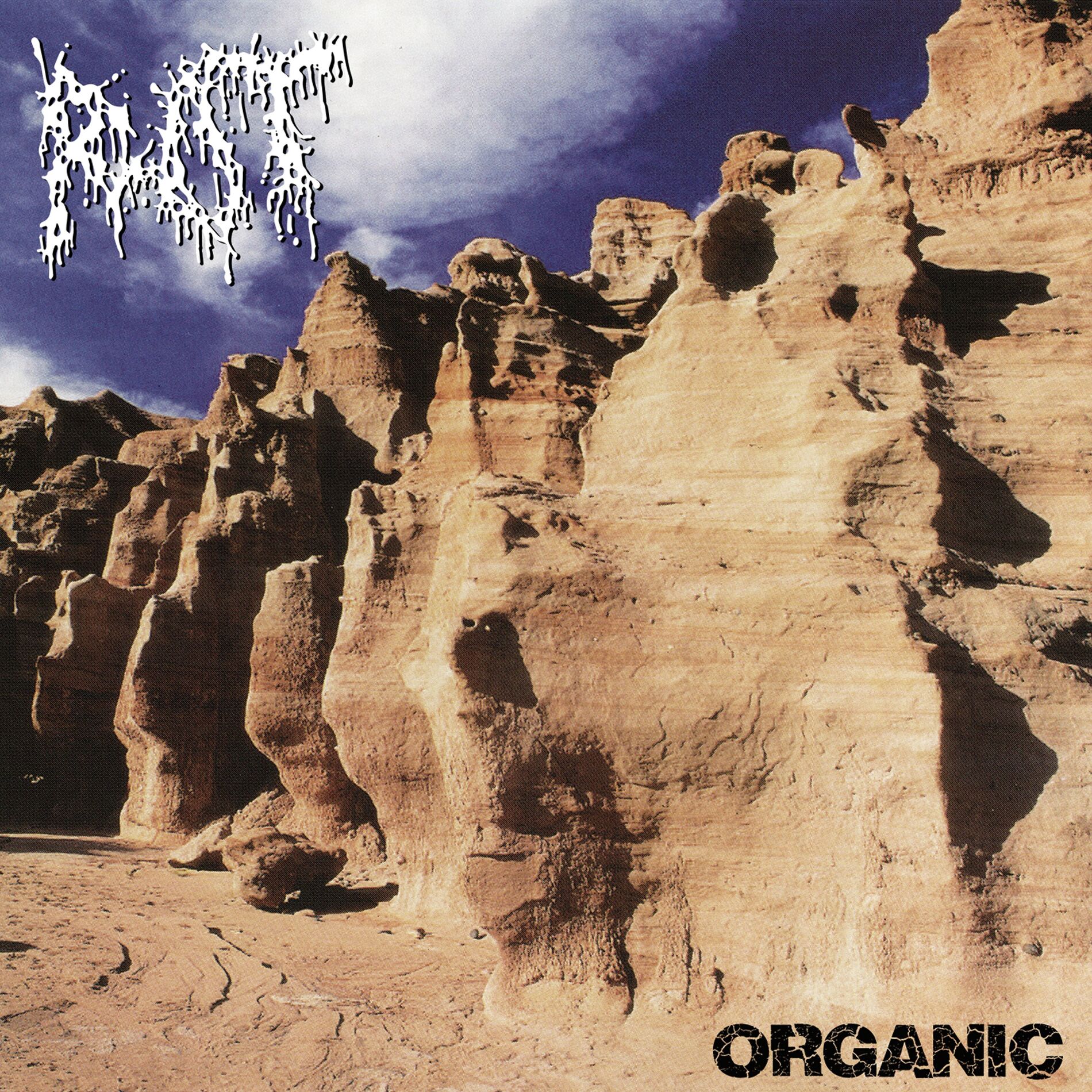Album cover of Organic