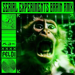 SERIAL EXPERIMENTS BRAIN (feat. FELDI) [RMX]