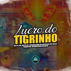 Cover of Lucro Do Tigrinho