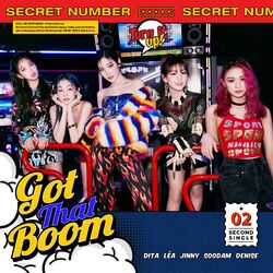 Cover of Got That Boom
