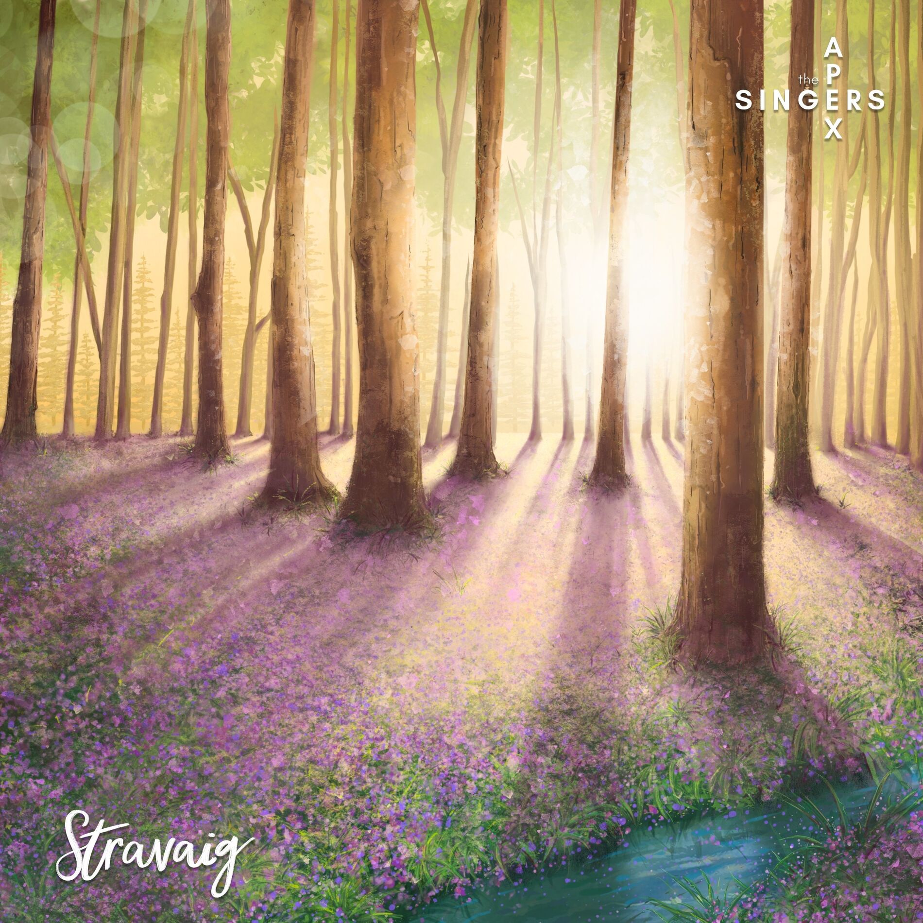 Album cover of Stravaig