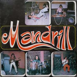 Cover of Mandrill, Vol.2