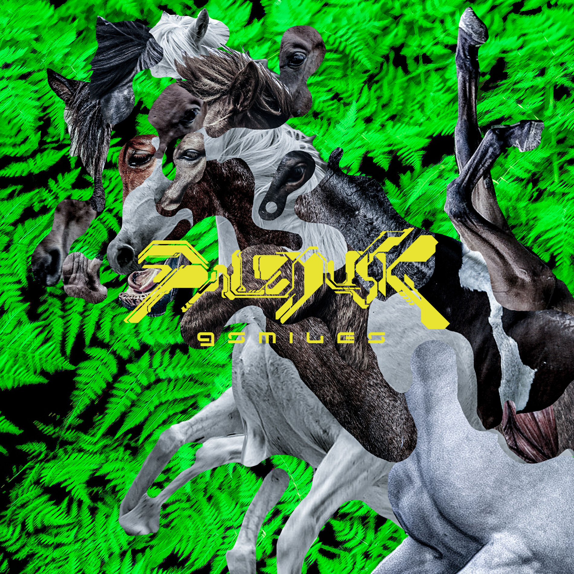 Album cover of 9 SMILES