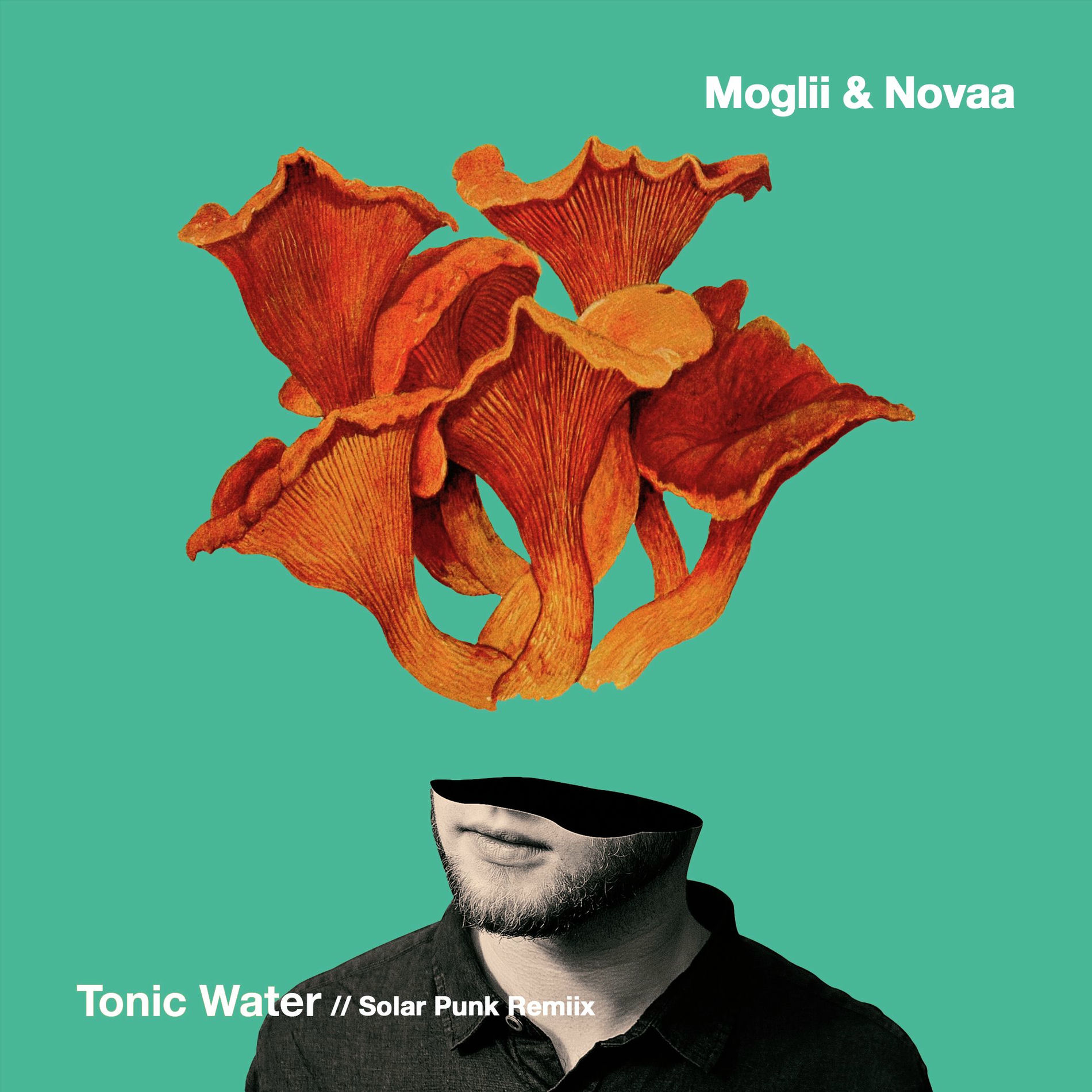 Album cover of Tonic Water (Solar Punk Remix)