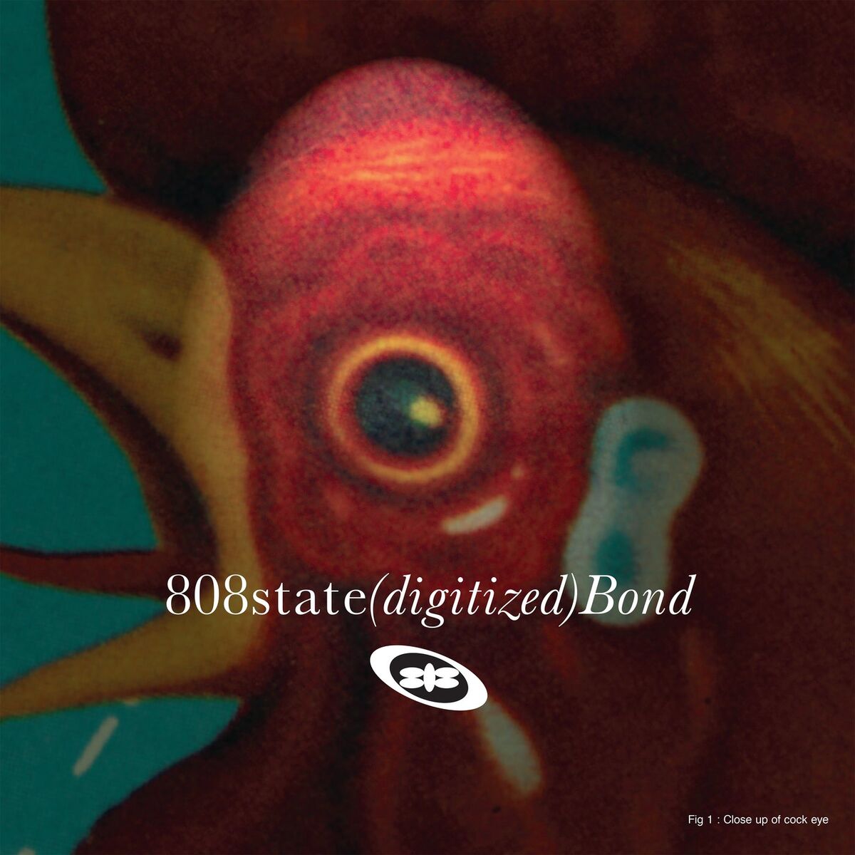 Album cover of Bond