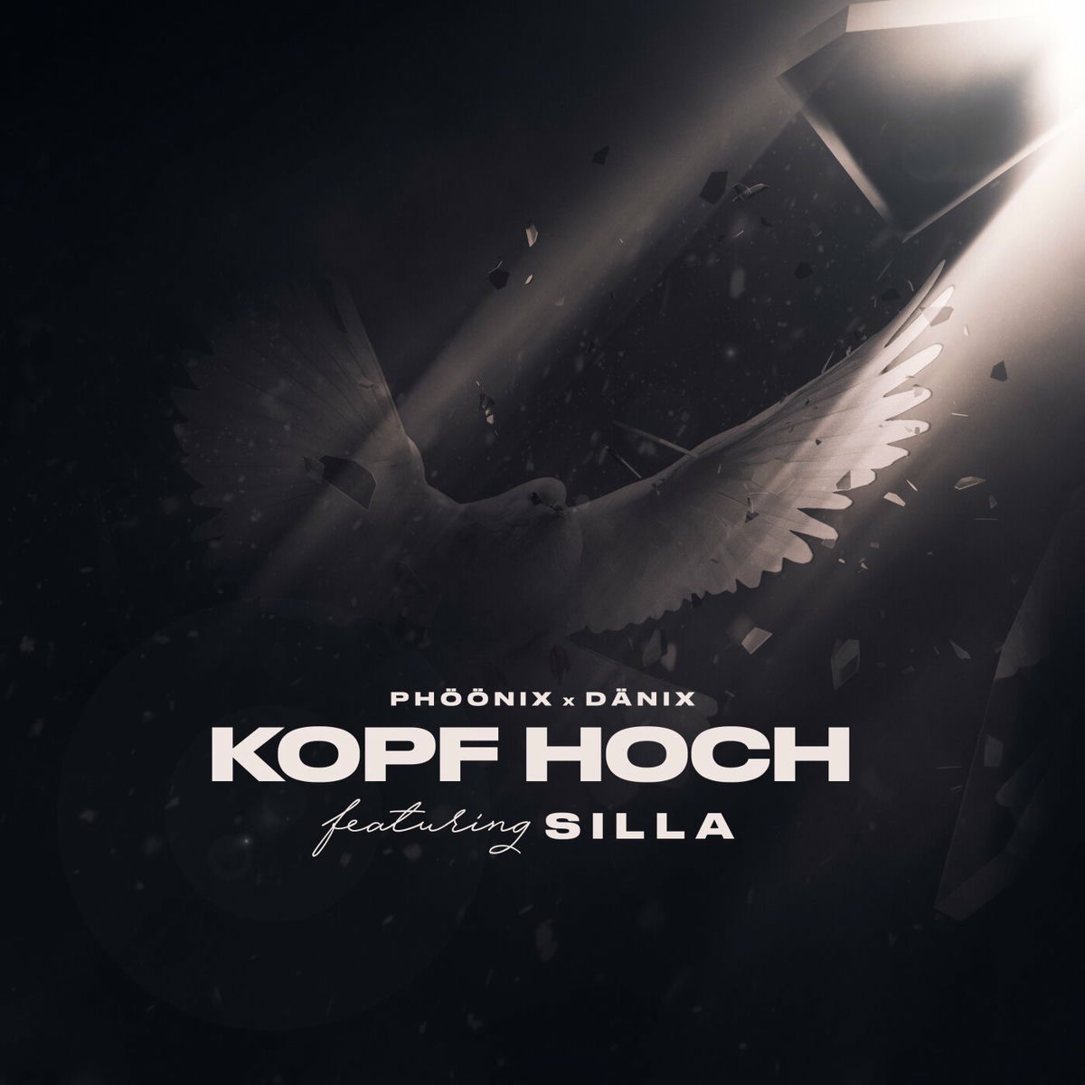 Album cover of Kopf hoch