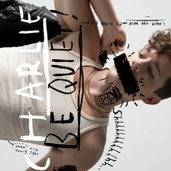 Cover of Charlie Be Quiet!