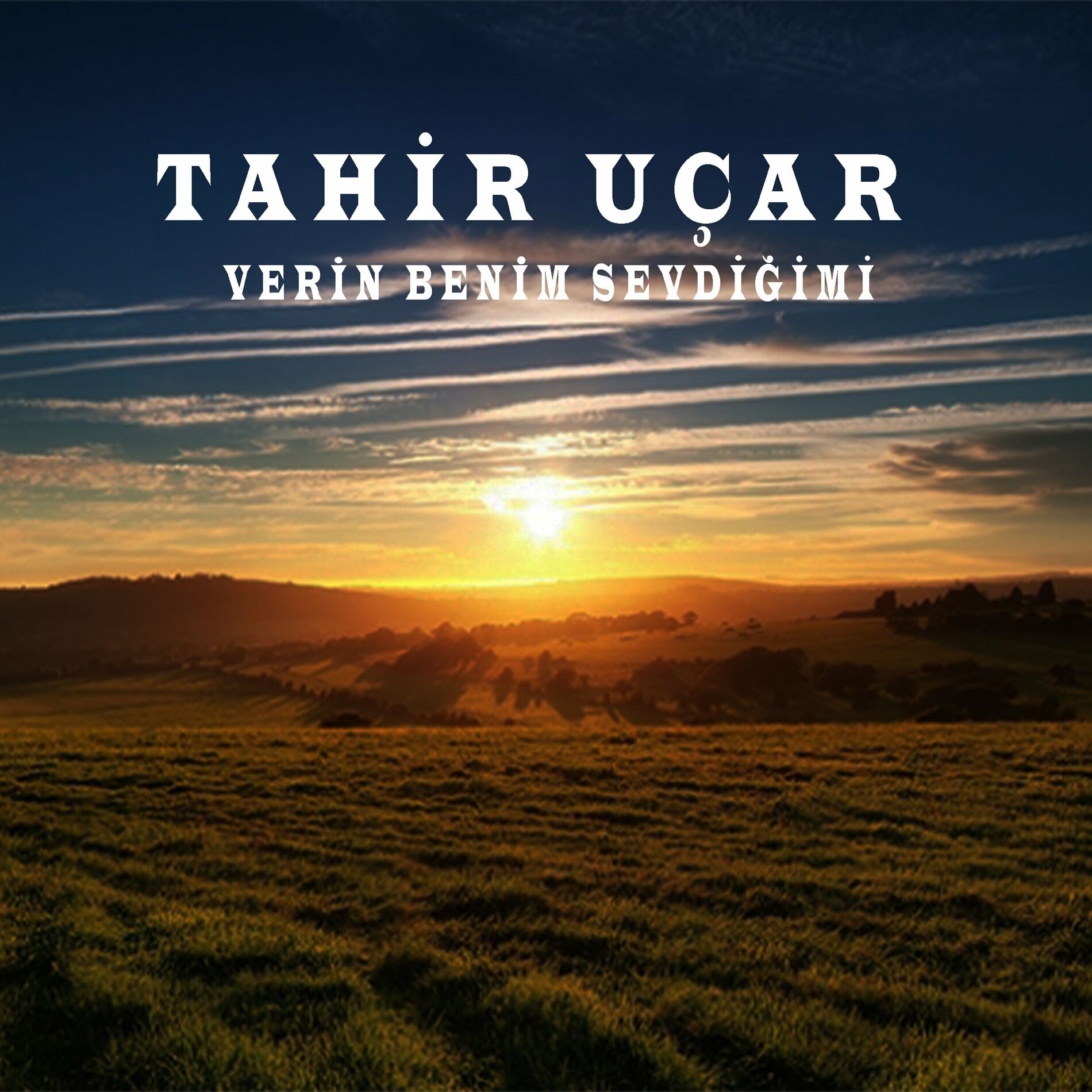 Album cover of Verin Benim Sevdiğimi