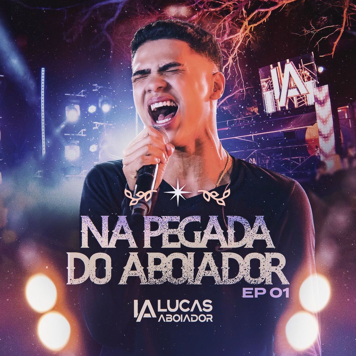 Album cover of Love Escondidinho
