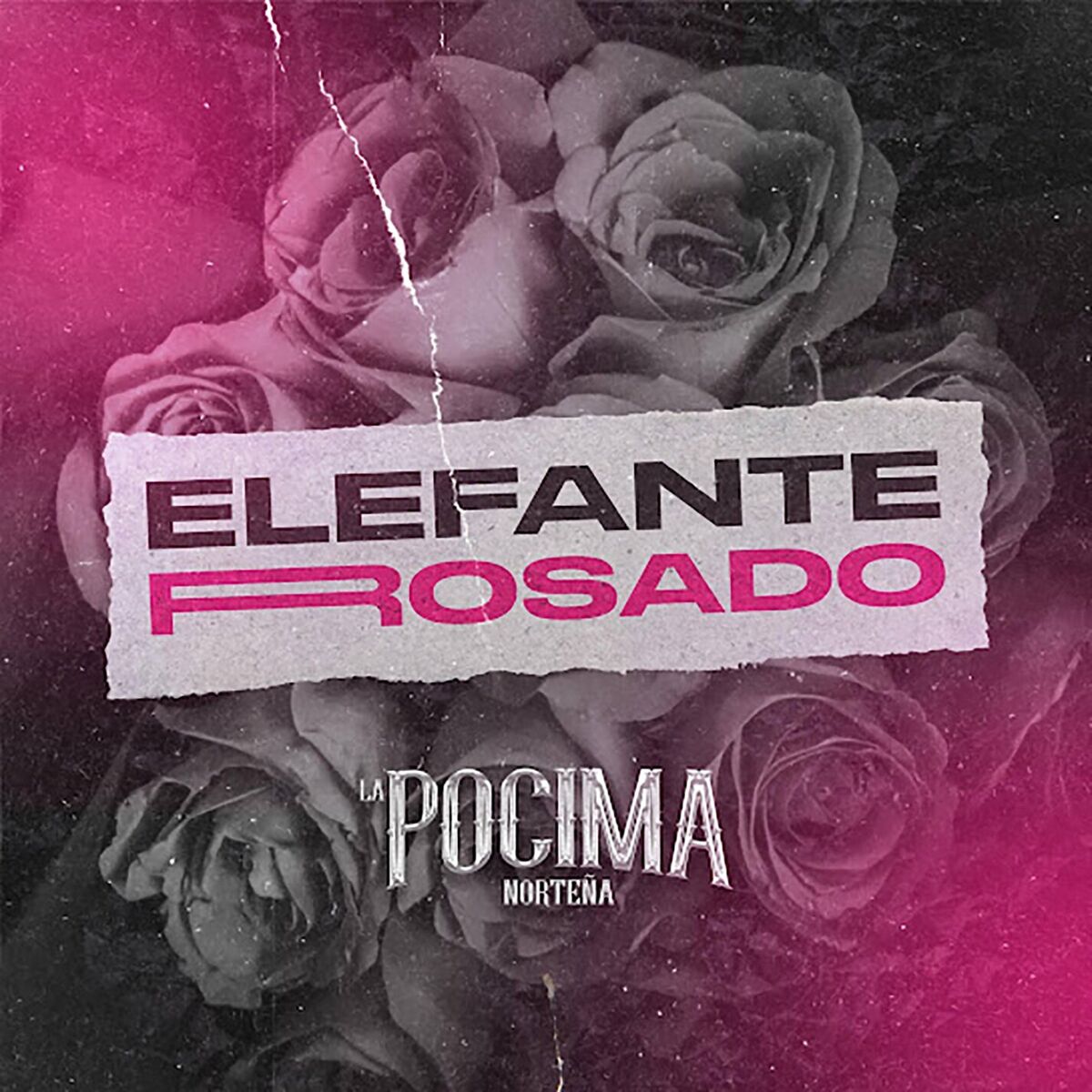 Album cover of Elefante Rosado