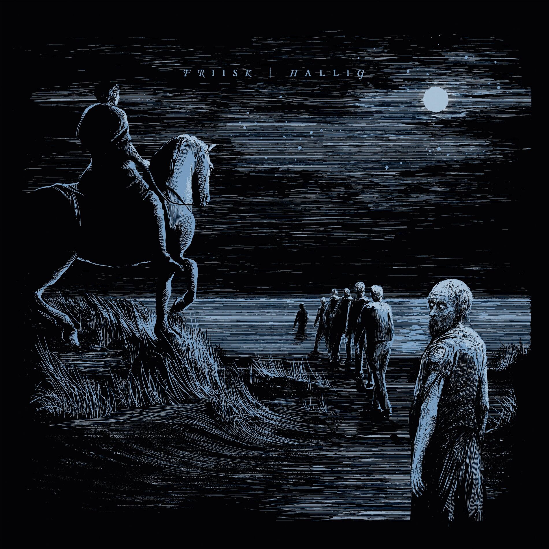 Album cover of Friisk | Hallig