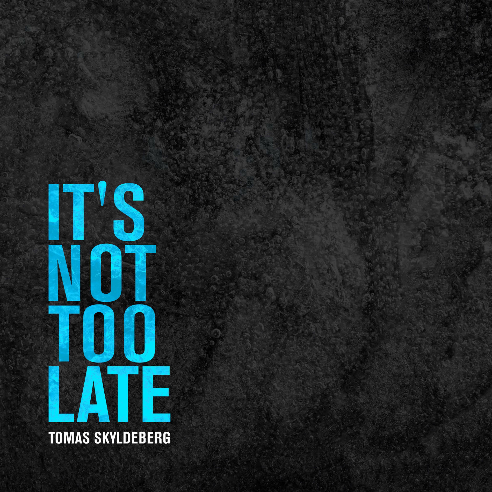 Album cover of It´s Not Too Late
