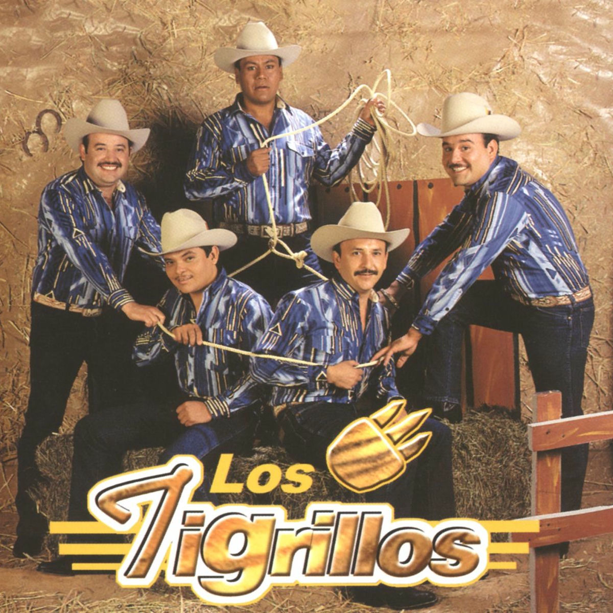 Album cover of Los Tigrillos