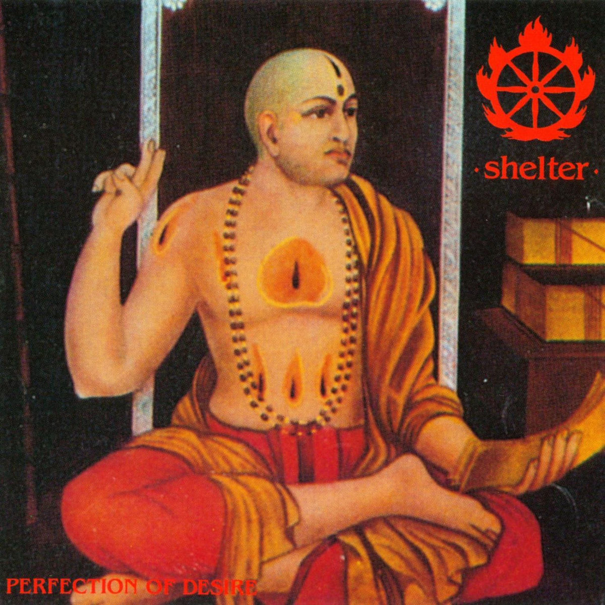 Album cover of Perfection Of Desire