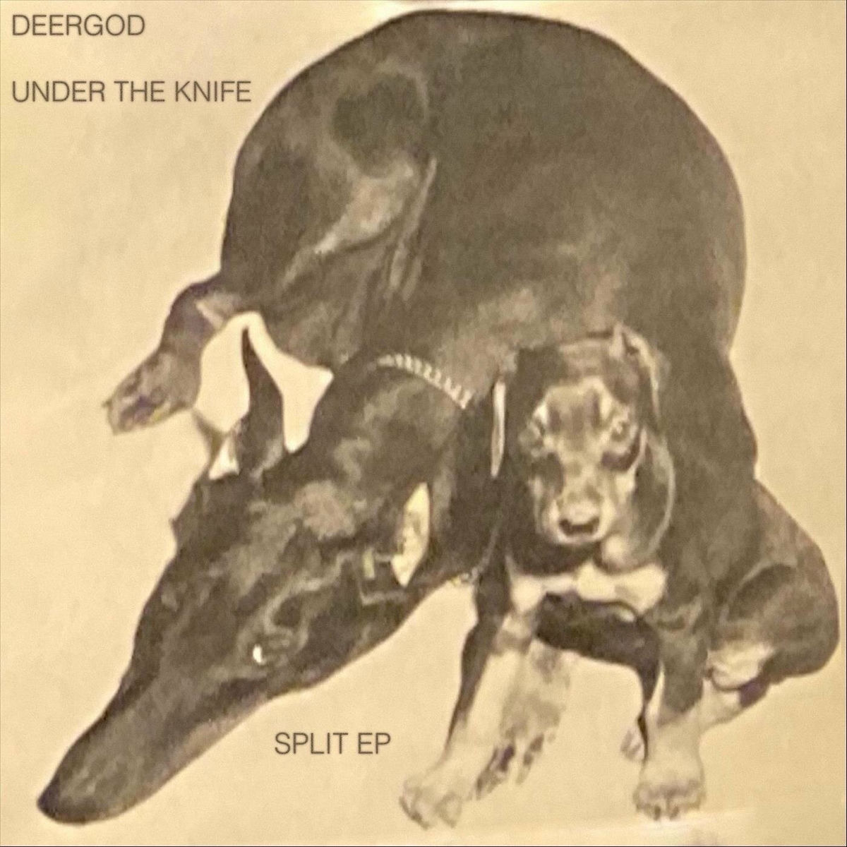 Album cover of Deergod / Under the Knife