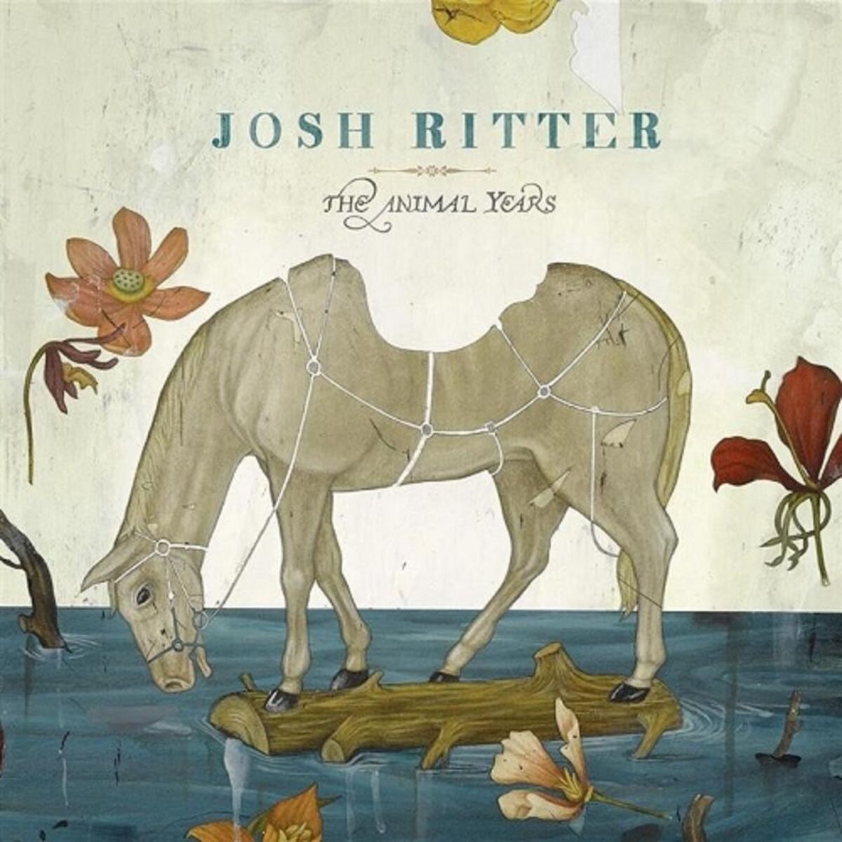 Album cover of The Animal Years