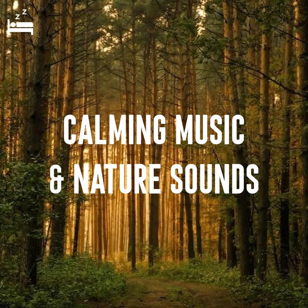 Picture of Calming Music and Nature Sounds