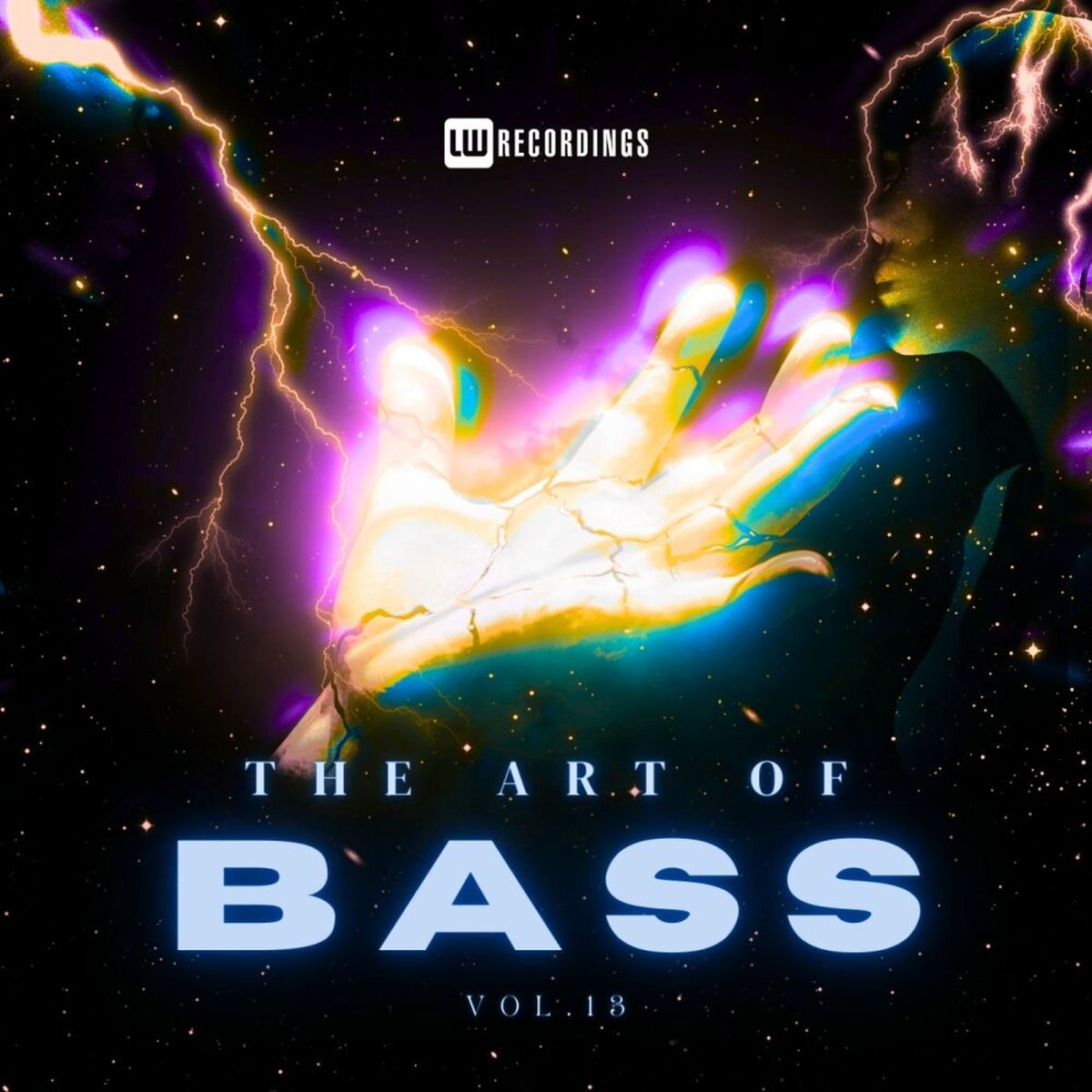 Album cover of The Art of Bass, Vol. 13