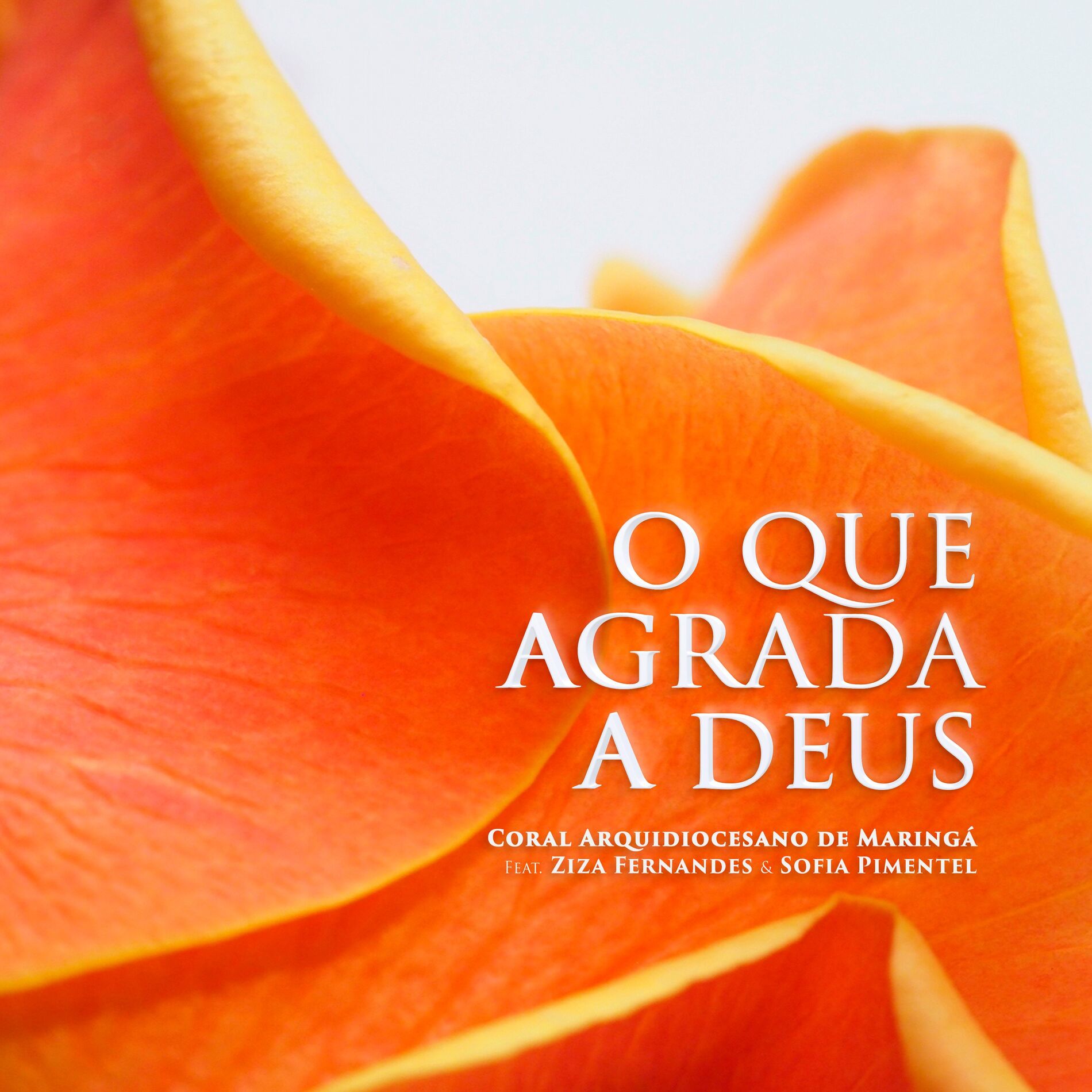Album cover of O Que Agrada a Deus