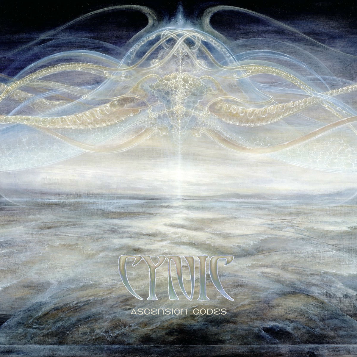 Album cover of Ascension Codes