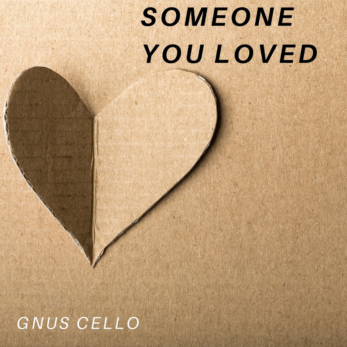 Album cover of Someone You Loved