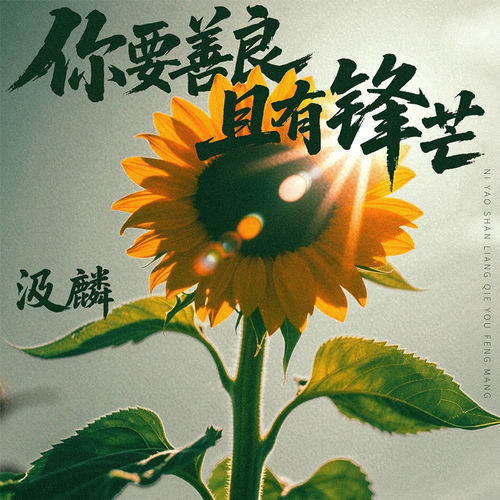你要善良且有锋芒