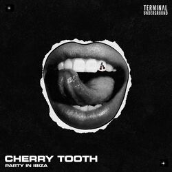 Cover of Party In Ibiza