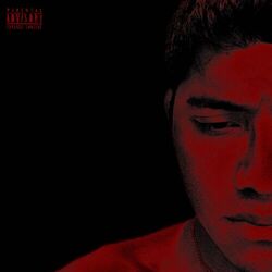 Cover of Bad Boy