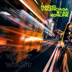 Cover of Gotta Get What You Want
