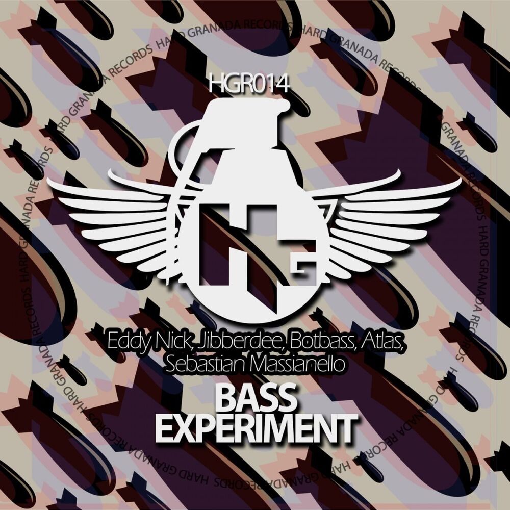 Picture of Bass experiment