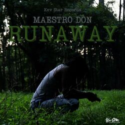 Cover of Runaway