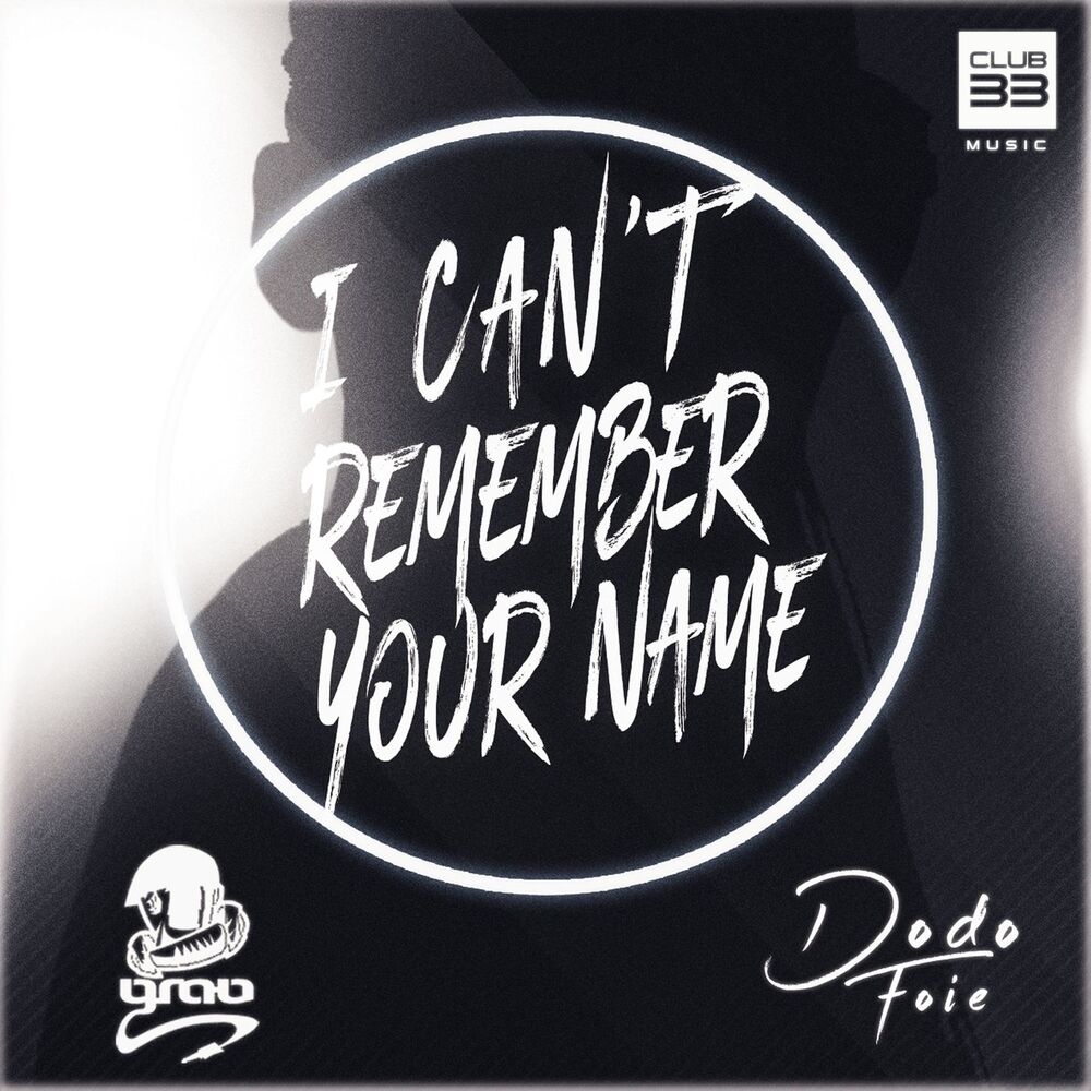 Picture of I Can't Remember Your Name