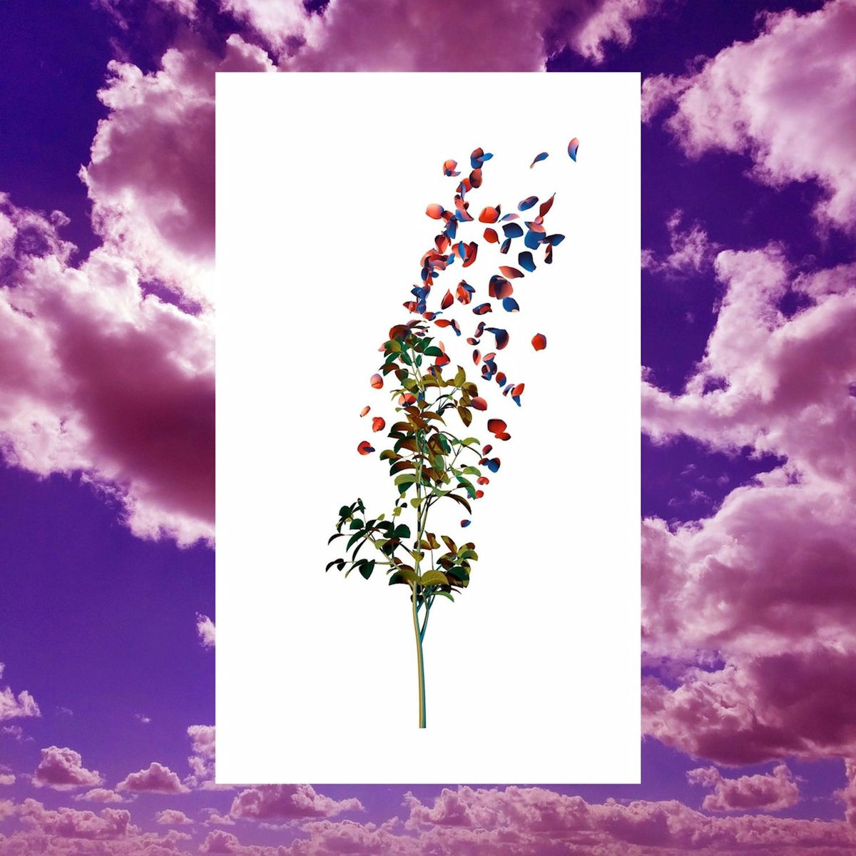 Album cover of Si Me Voy