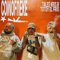Cover of Comofueke