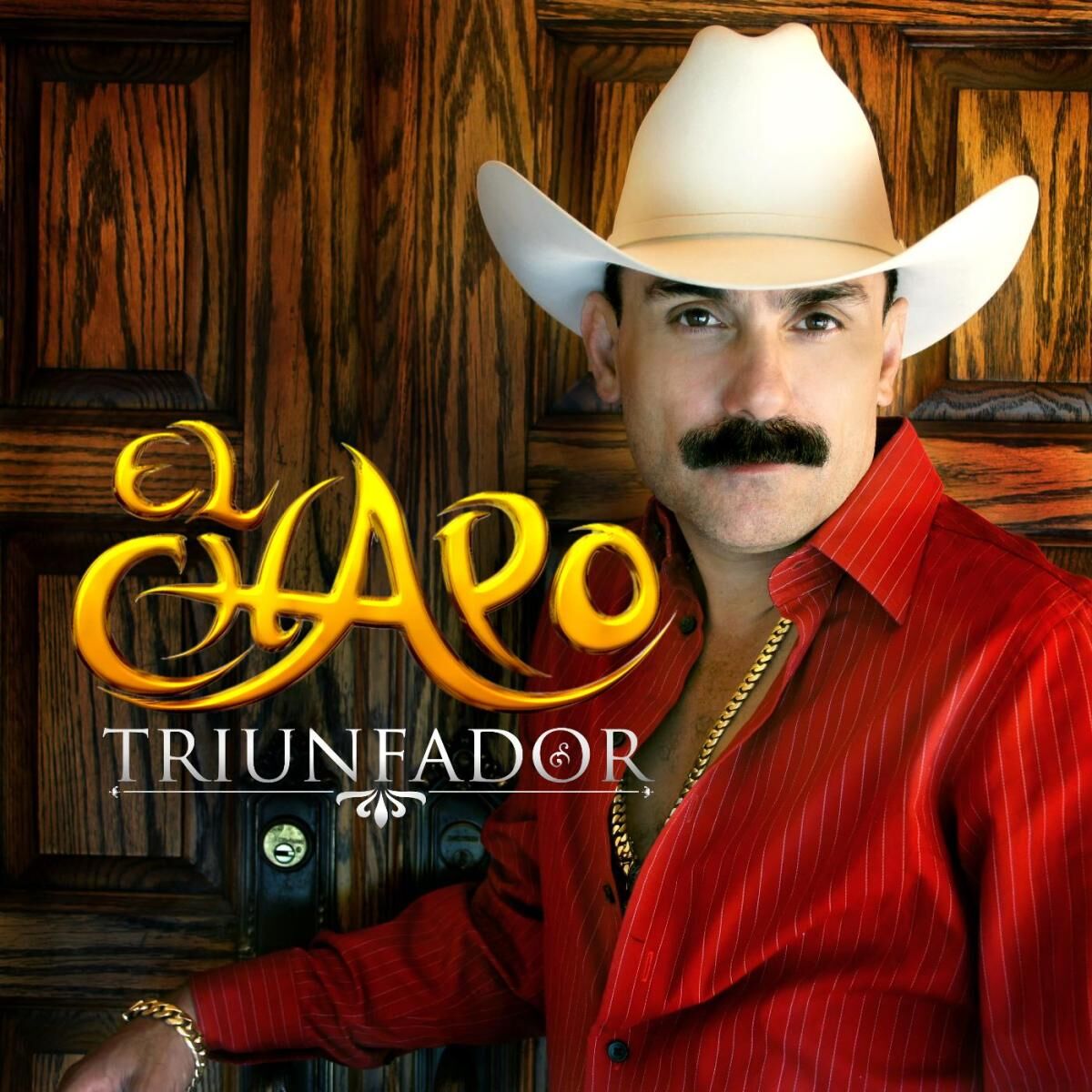 Album cover of Triunfador