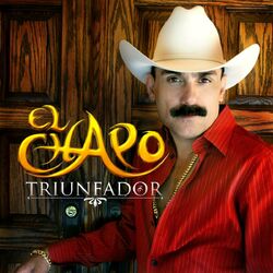 Cover of Triunfador