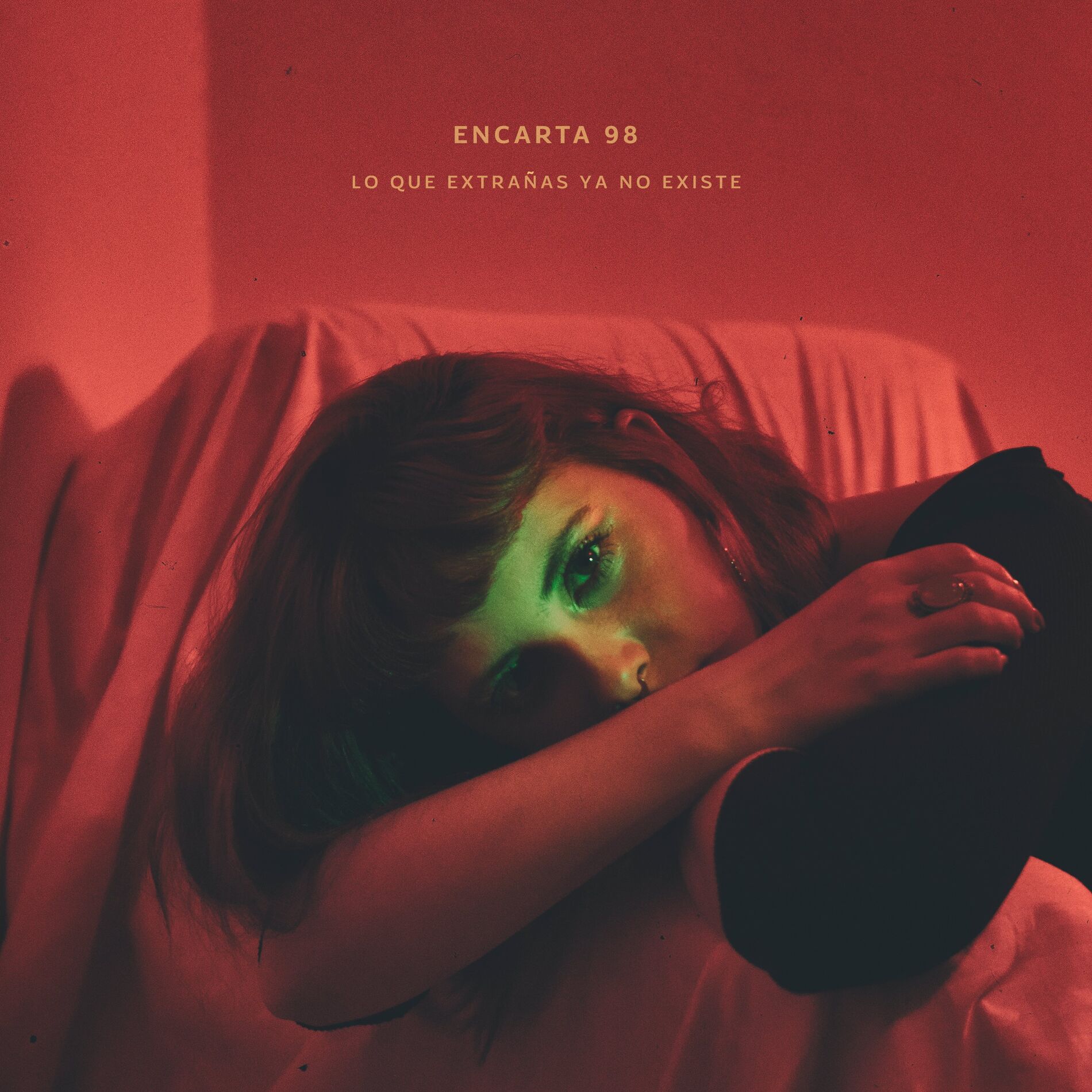 Album cover of Lo Que Extrañas Ya No Existe