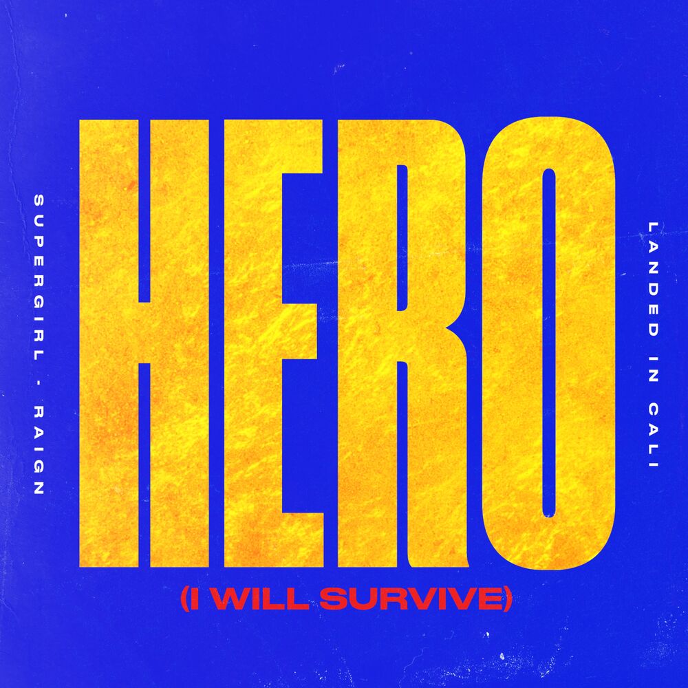 Picture of Hero (I Will Survive)