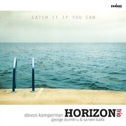 Cover of Catch It If You Can