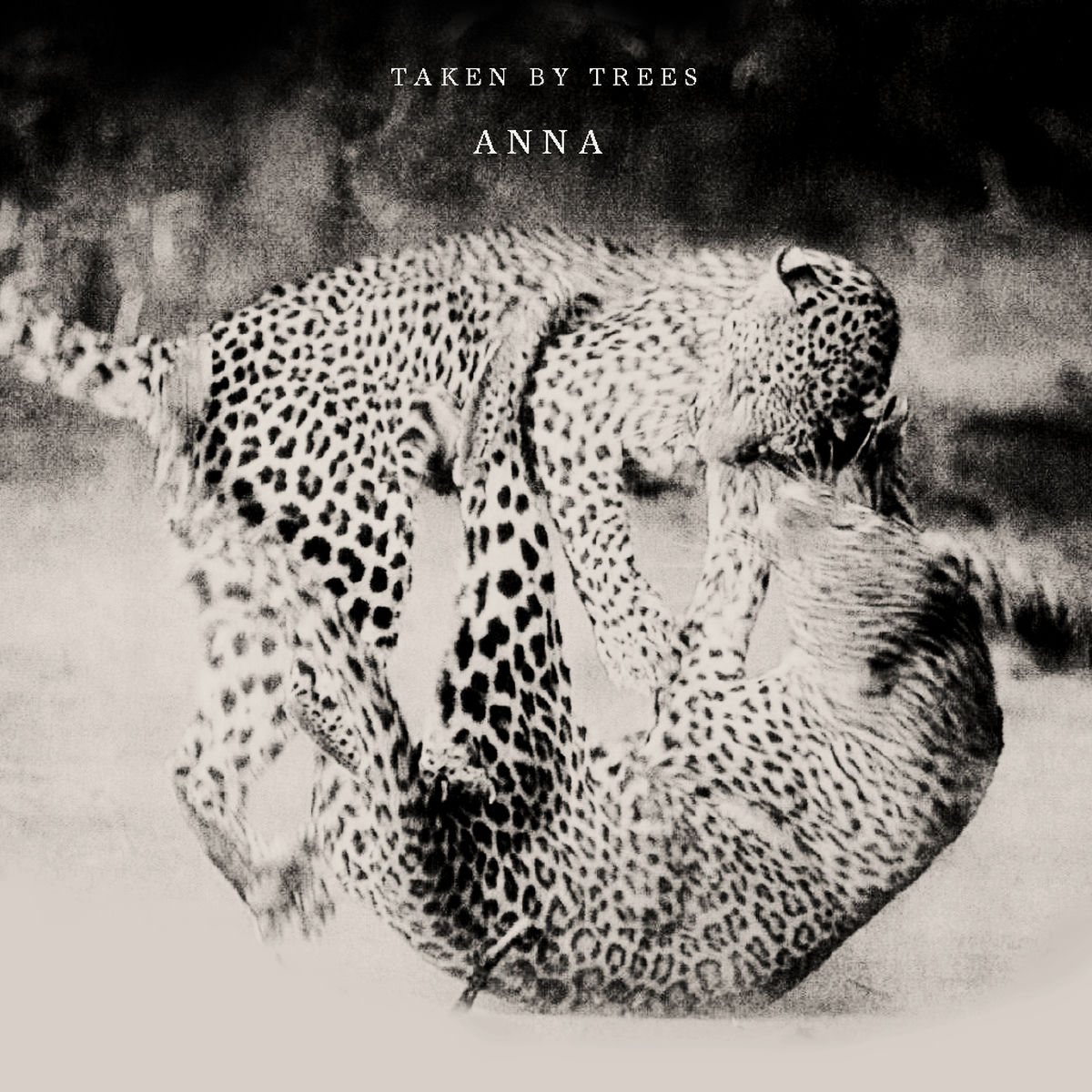 Album cover of Anna